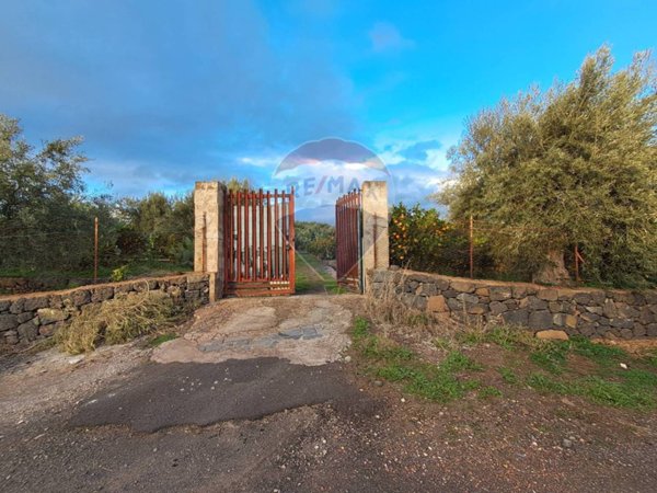 terreno agricolo in vendita a Santa Maria di Licodia