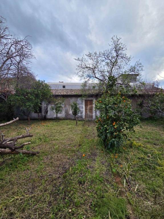casa indipendente in vendita a Santa Maria di Licodia