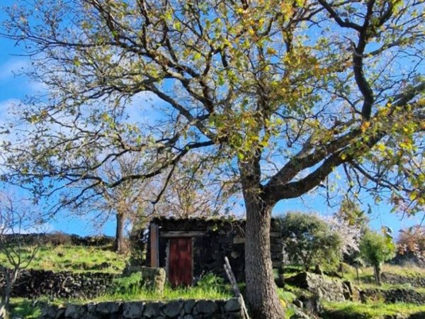 terreno agricolo in vendita a Santa Maria di Licodia