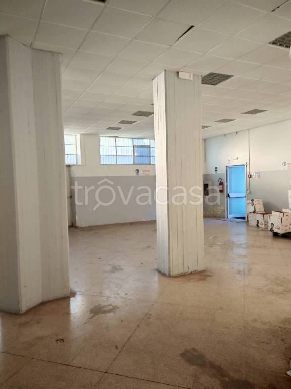 immagine annuncio 0 di 15