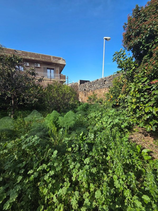 casa indipendente in vendita a Santa Maria di Licodia