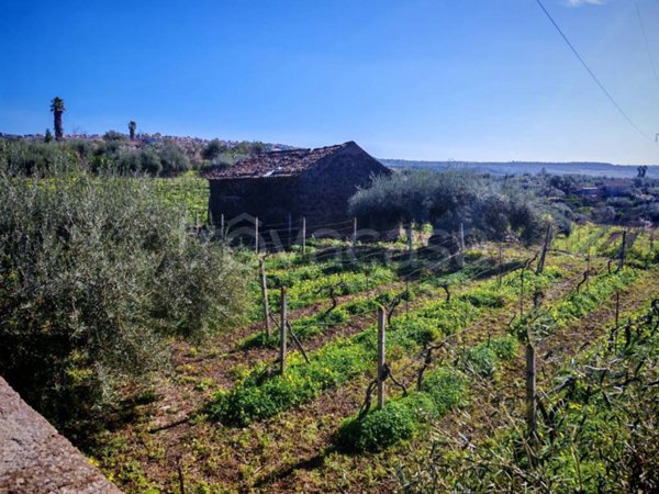terreno agricolo in vendita a Santa Maria di Licodia