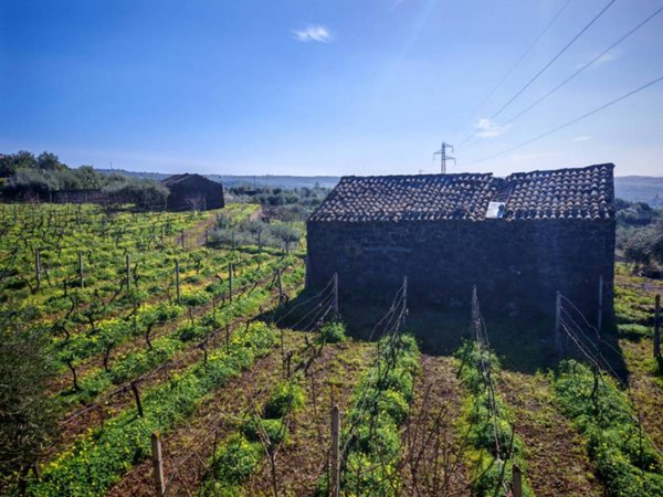 terreno agricolo in vendita a Santa Maria di Licodia