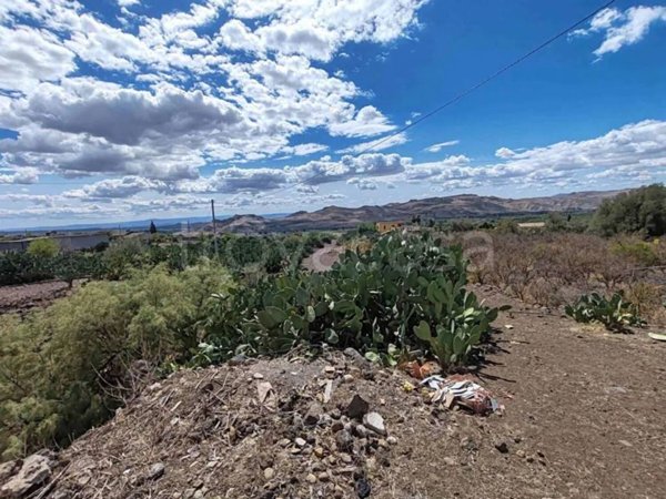 terreno agricolo in vendita a Santa Maria di Licodia