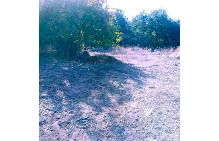 terreno agricolo in vendita a Santa Maria di Licodia
