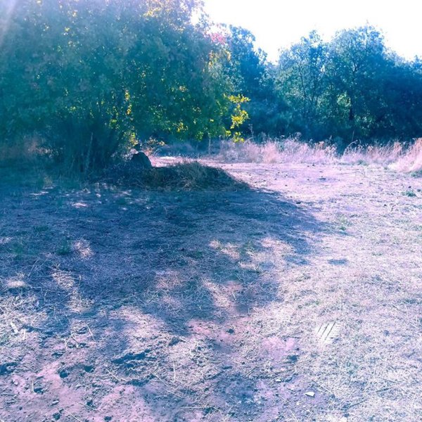 terreno agricolo in vendita a Santa Maria di Licodia