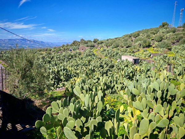 terreno agricolo in vendita a Santa Maria di Licodia