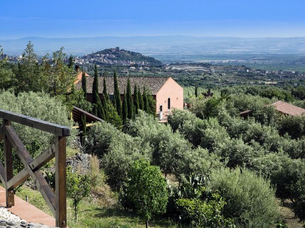 appartamento in vendita a Santa Maria di Licodia