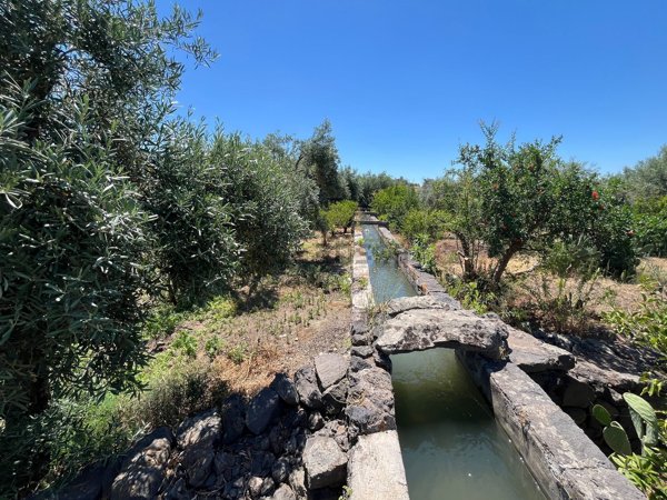 terreno agricolo in vendita a Santa Maria di Licodia