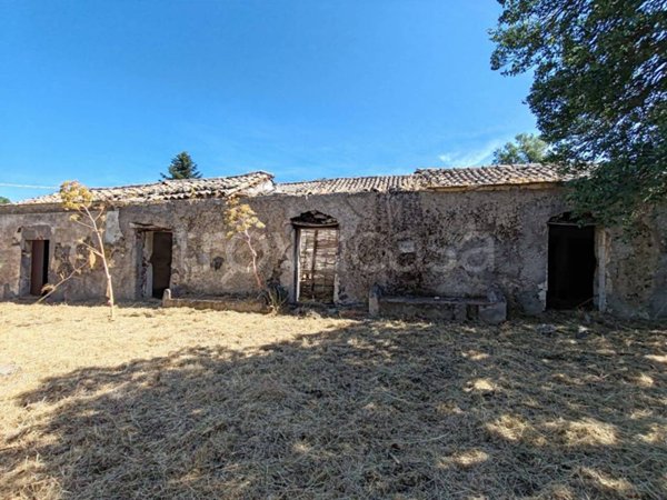 terreno agricolo in vendita a Santa Maria di Licodia