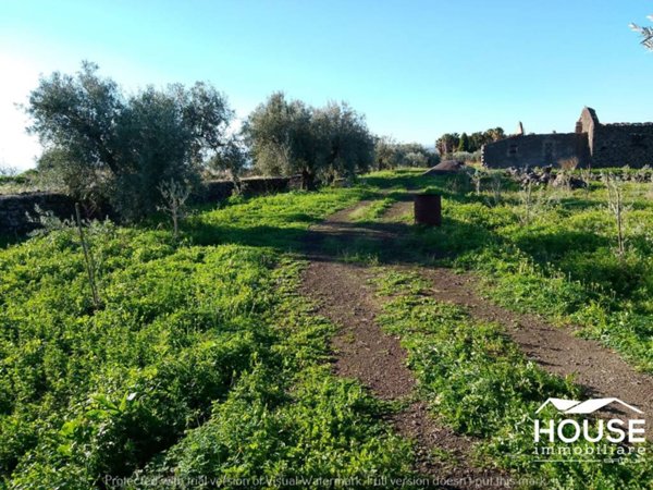 terreno agricolo in vendita a Santa Maria di Licodia