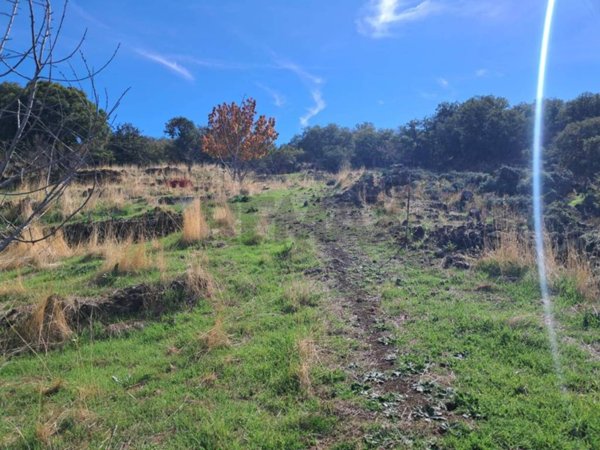 terreno agricolo in vendita a Santa Maria di Licodia