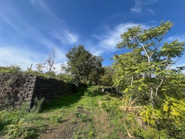 terreno agricolo in vendita a Santa Venerina