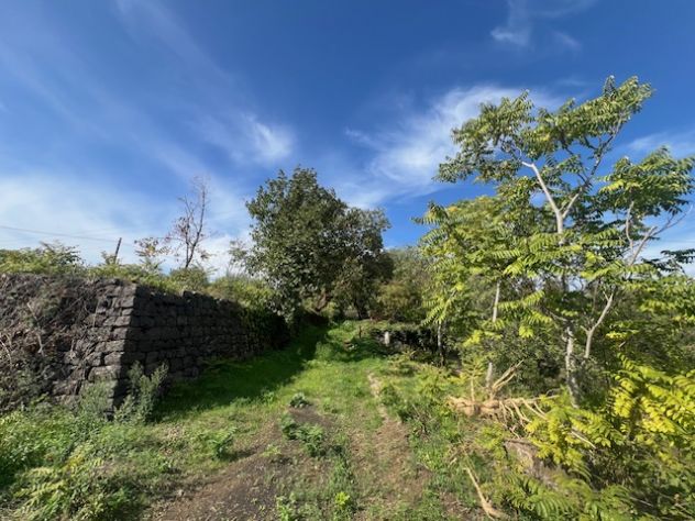 terreno agricolo in vendita a Santa Venerina