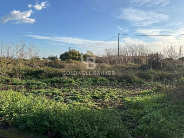 terreno agricolo in vendita a Santa Venerina