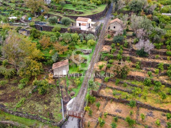 terreno agricolo in vendita a Santa Venerina
