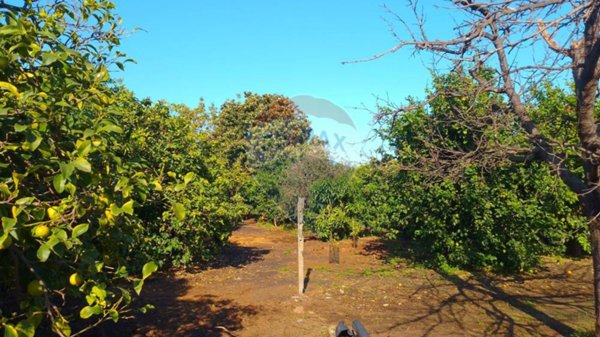 terreno agricolo in vendita a Santa Venerina