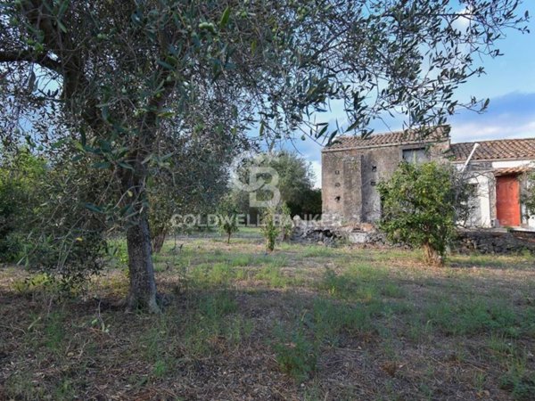terreno agricolo in vendita a Santa Venerina