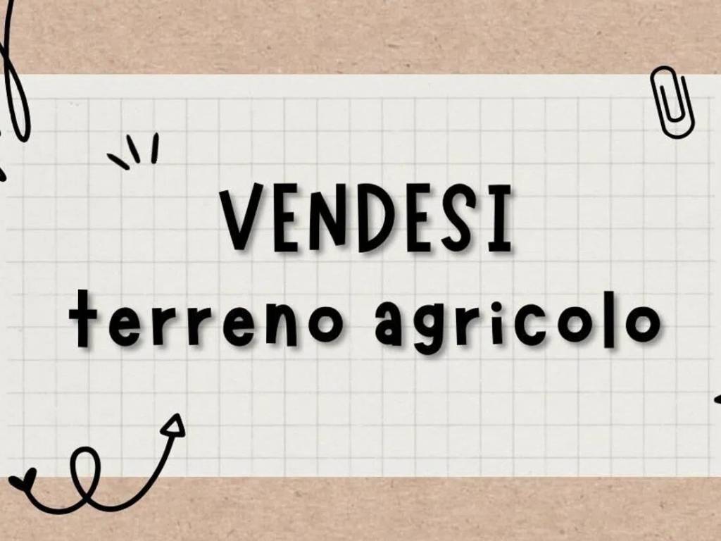 terreno agricolo in vendita a Santa Venerina