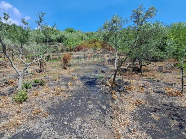 terreno agricolo in vendita a Santa Venerina