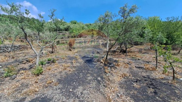 terreno agricolo in vendita a Santa Venerina