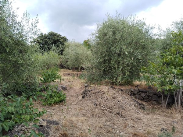 appartamento in vendita a Santa Venerina