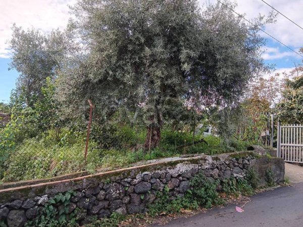 casa indipendente in vendita a Santa Venerina