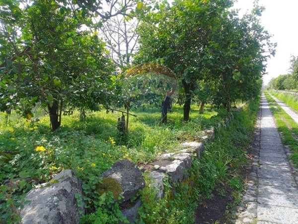 terreno agricolo in vendita a Santa Venerina in zona Dagala del Re