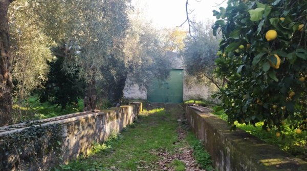 terreno edificabile in vendita a Santa Venerina in zona Linera
