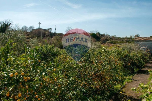 terreno agricolo in vendita a Santa Venerina