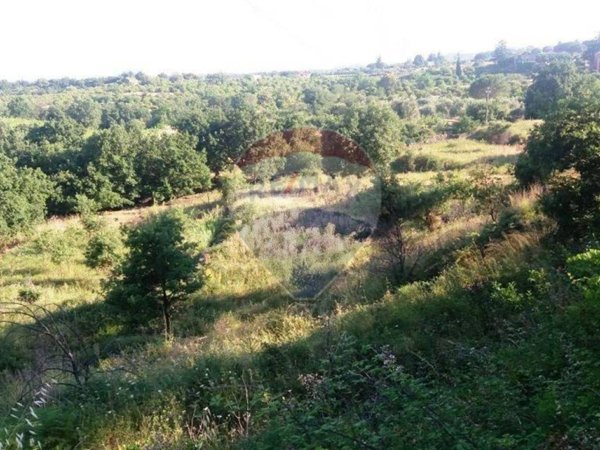terreno agricolo in vendita a Santa Venerina