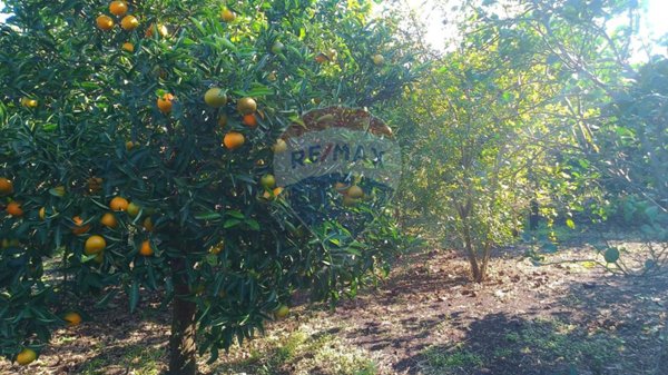 terreno agricolo in vendita a Santa Venerina