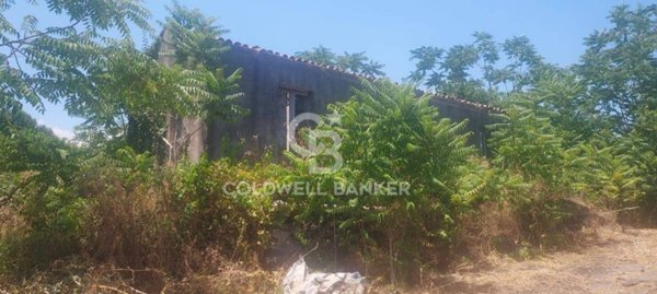 terreno agricolo in vendita a Santa Venerina