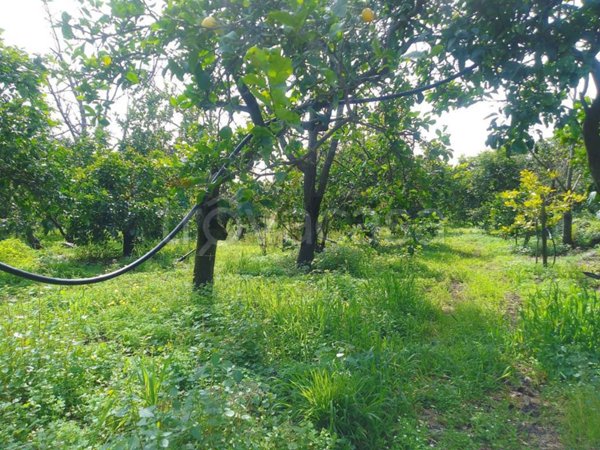 casa indipendente in vendita a Santa Venerina in zona Dagala del Re