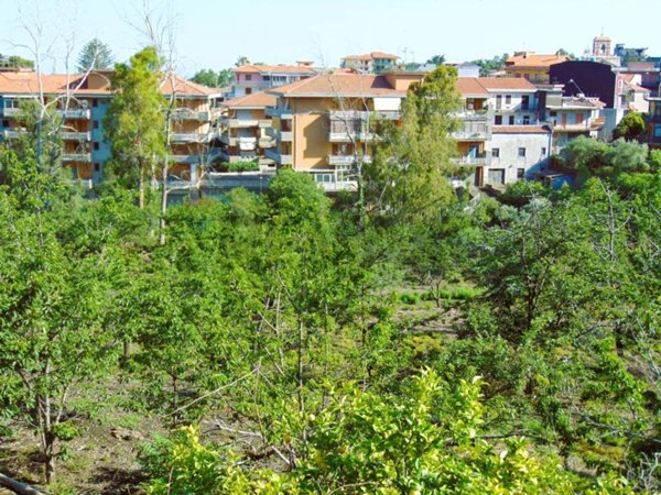 terreno agricolo in vendita a Santa Venerina