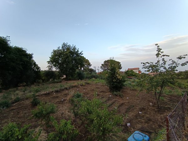 terreno agricolo in vendita a Santa Venerina in zona Dagala del Re