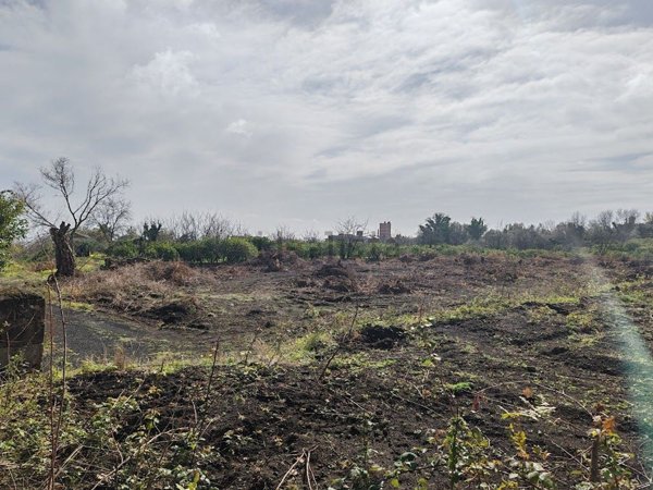 casa indipendente in vendita a Santa Venerina