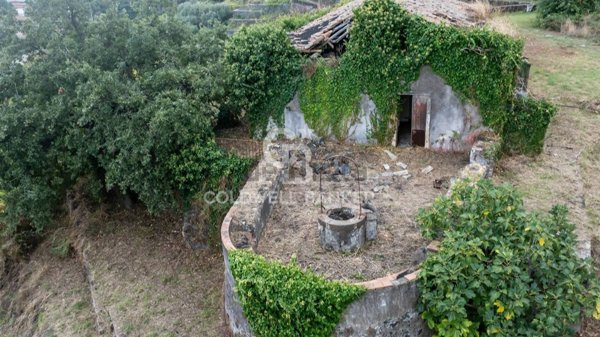 esavano in vendita a Santa Venerina