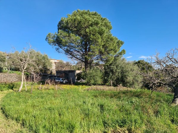 terreno agricolo in vendita a Santa Venerina