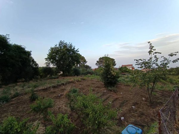 terreno agricolo in vendita a Santa Venerina in zona Dagala del Re