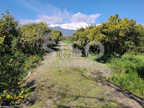 terreno agricolo in vendita a Santa Venerina