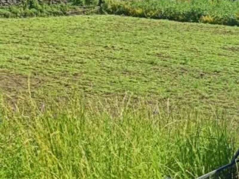 terreno agricolo in vendita a Santa Venerina