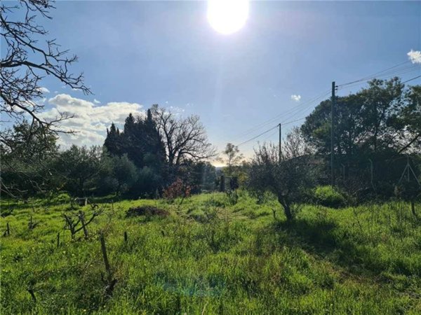 terreno edificabile in vendita a Santa Venerina in zona Bongiardo