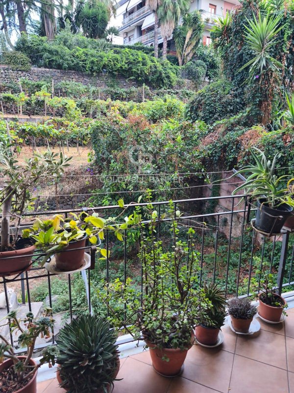 casa indipendente in vendita a Santa Venerina