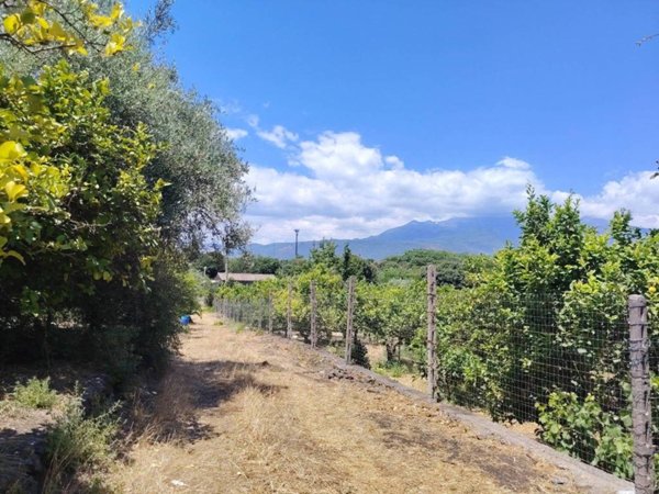 terreno agricolo in vendita a Santa Venerina in zona Dagala del Re