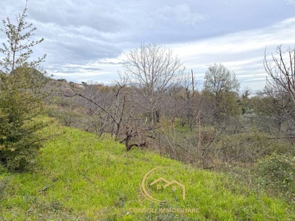 terreno agricolo in vendita a Santa Venerina in zona Dagala del Re