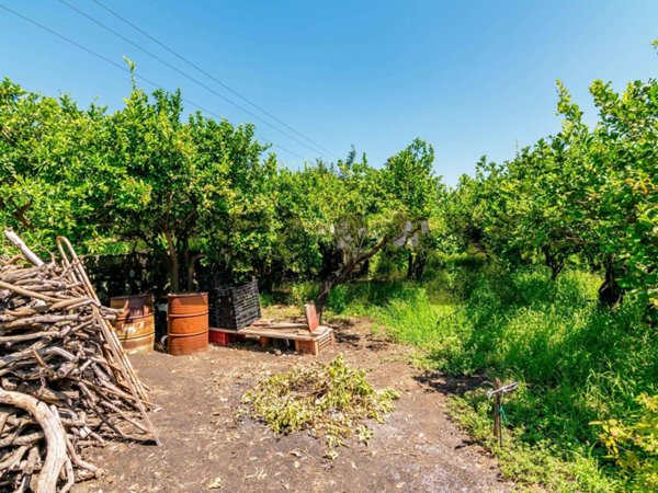 terreno agricolo in vendita a Santa Venerina in zona Bongiardo