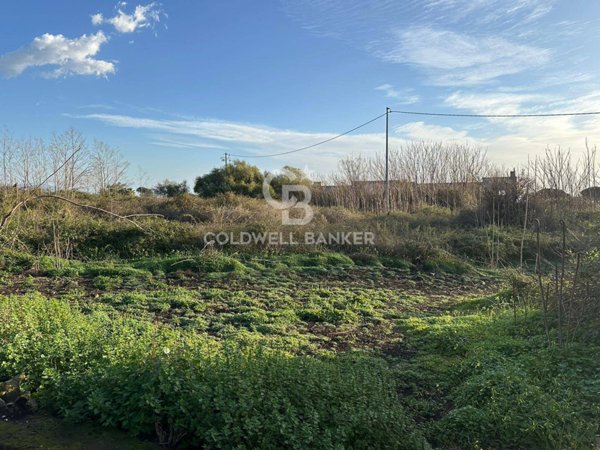 terreno in vendita a Santa Venerina