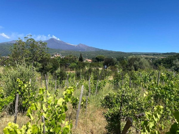 terreno agricolo in vendita a Santa Venerina in zona Dagala del Re