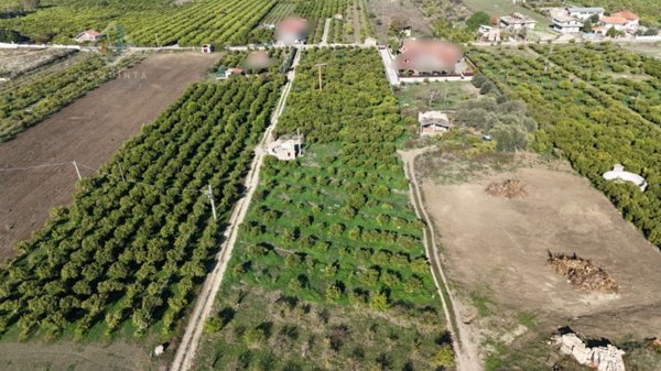 terreno agricolo in vendita a Scordia